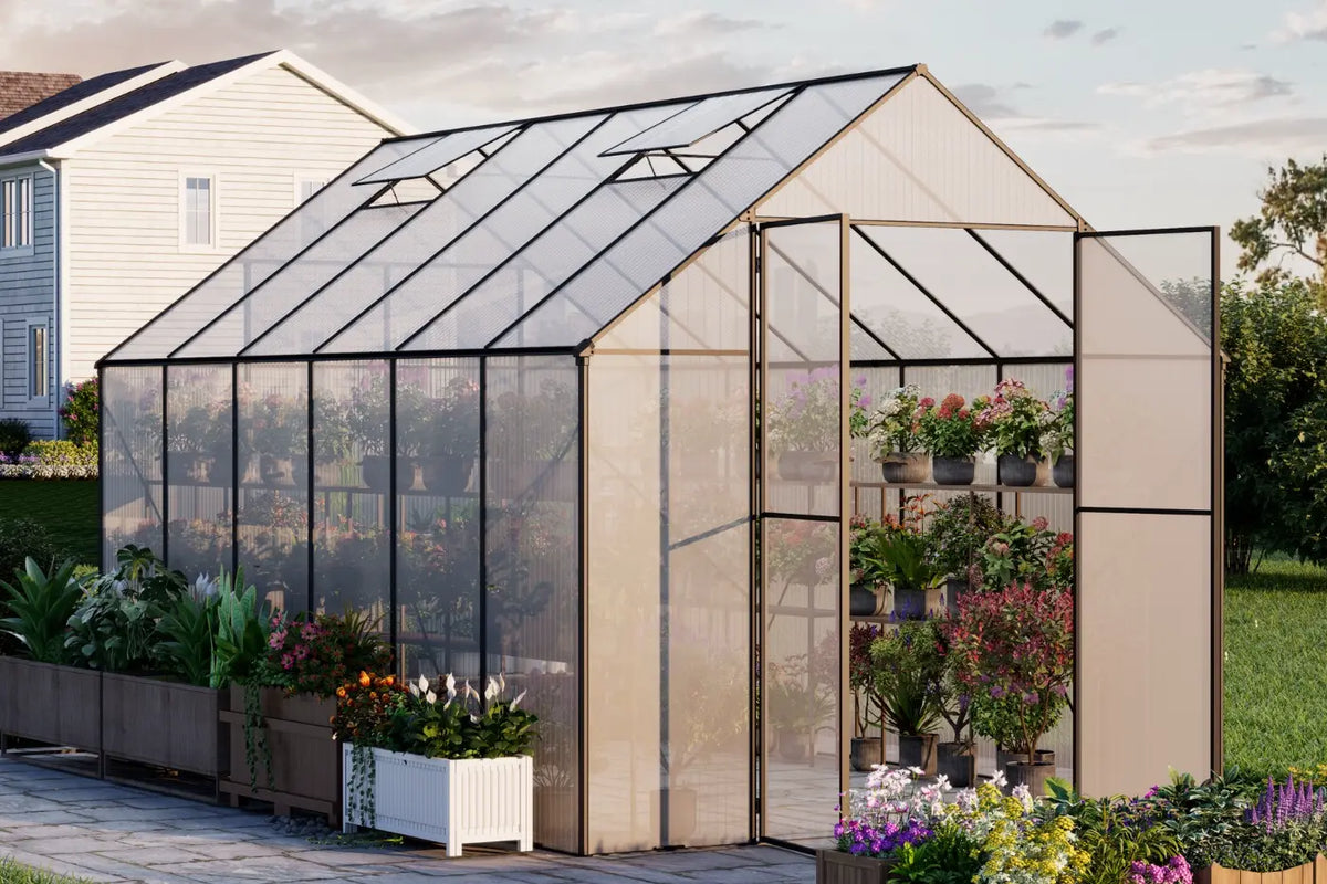 Patio Kingdom greenhouse 8*12