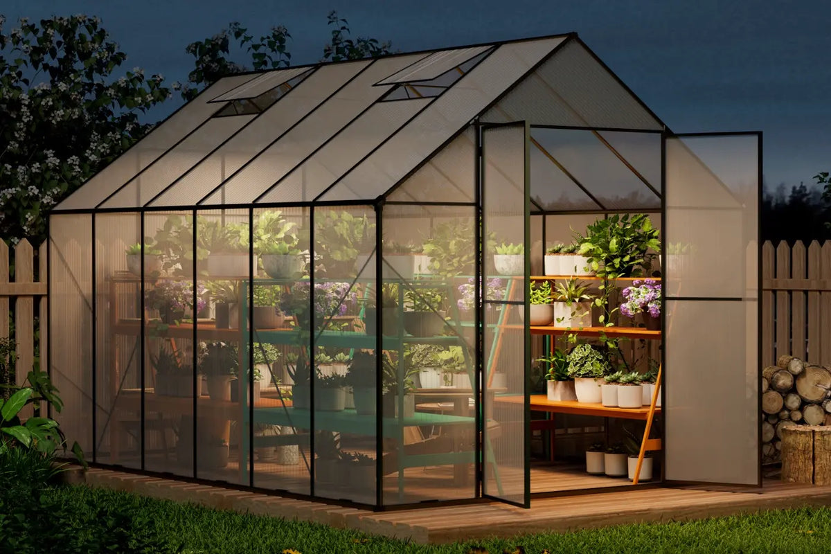 Patio Kingdom greenhouse 8*12